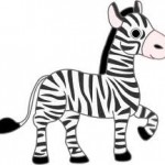 zebra