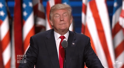 Photo_11.gif