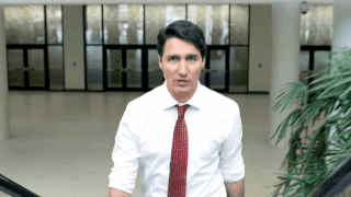 Photo_2.gif