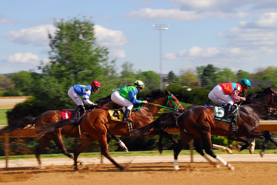 French people are passionate about sports. But what sports do they like most? Click here to find out and get some good sports-related French vocabulary at the same time ;)