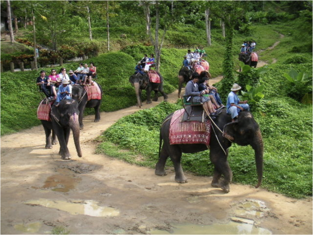 6ChildPhuket-624x468.png