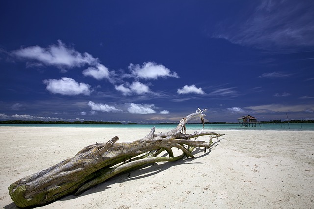 Indonesia Halmahera Widi Islands Landscape