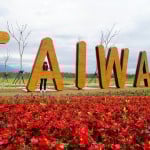 maxpixel.freegreatpicture.com-Flower-Taiwan-Garden-University-Student-Word-1733470-150x150.jpg