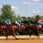 French people are passionate about sports. But what sports do they like most? Click here to find out and get some good sports-related French vocabulary at the same time ;)