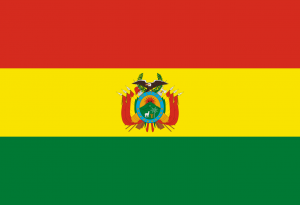 Photo-3-300x205.png