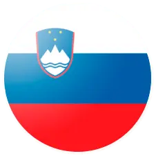 SLOVENIAN classes near you: at home, at work, or online